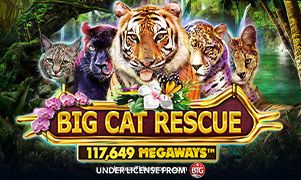 Imagem do Jogo Big Cat Rescue Megaways da 7kbet