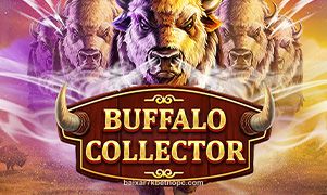 Imagem do jogo Buffalo Collector no 7kbet
